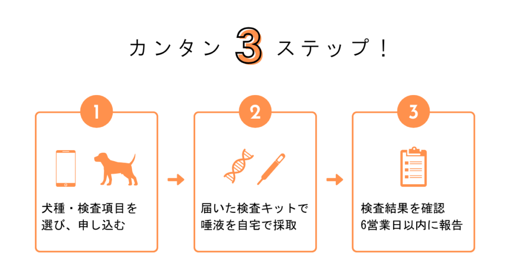 遺伝子検査申込 犬