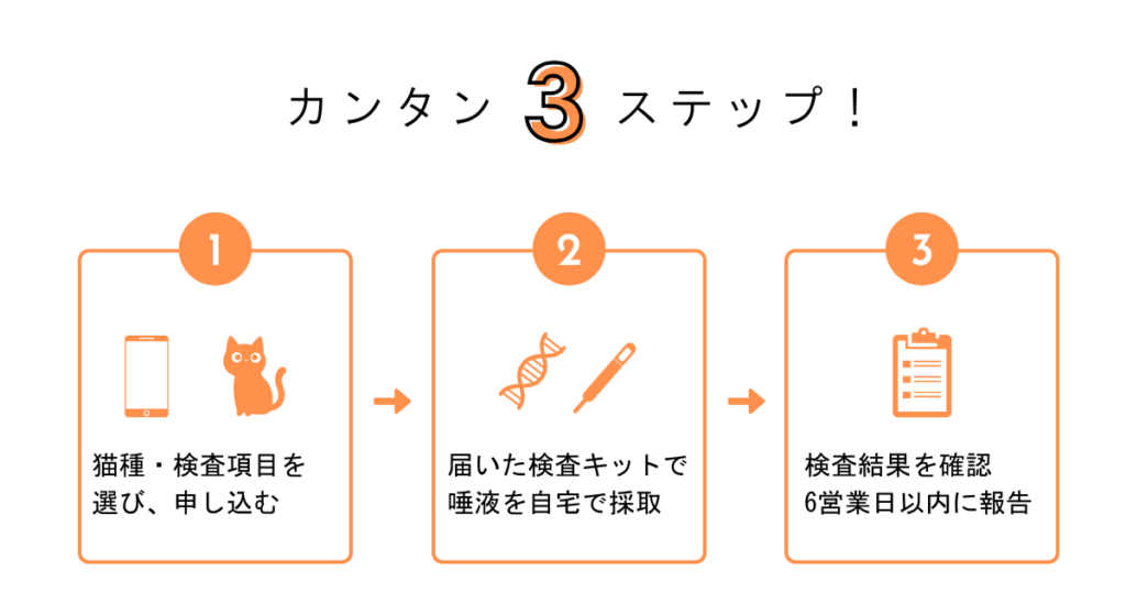 猫遺伝子検査