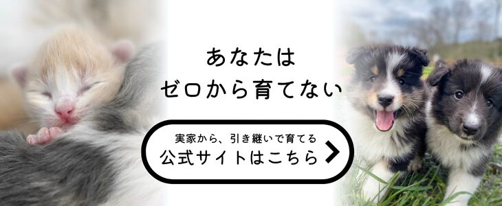 ペットの実家