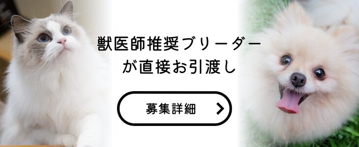 里親募集犬猫