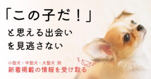 メールアドレス登録