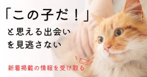 メールアドレス登録