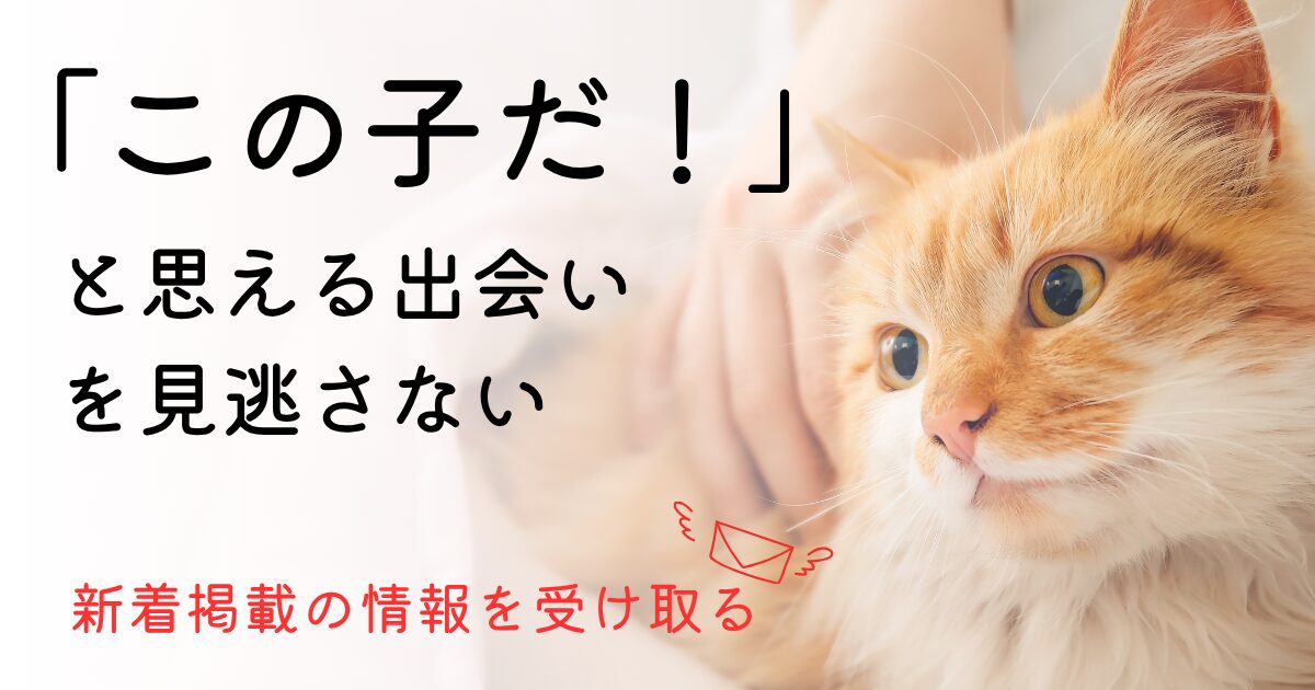 メールアドレス登録