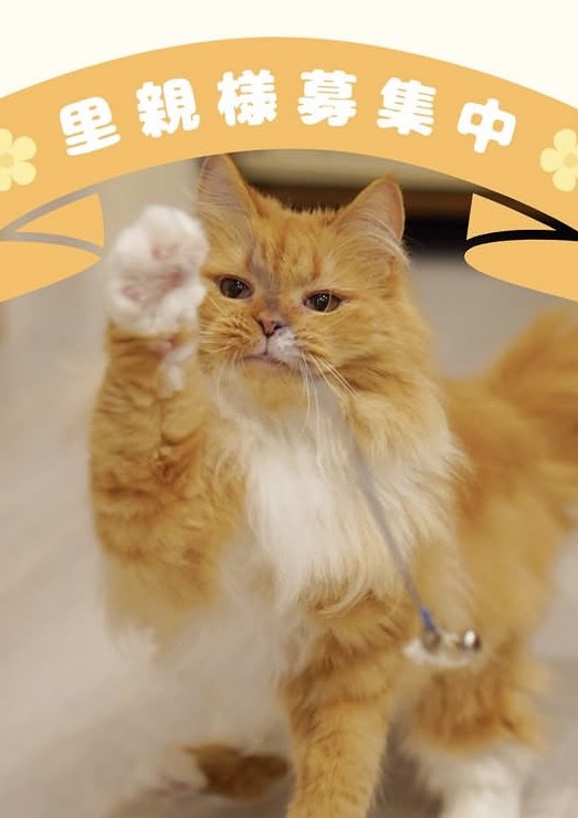 サイベリアン