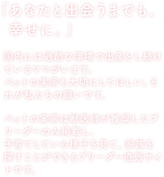 ブリーダーを探す｜ペットの実家‐親を見せる優良ブリーダー直販の子犬 