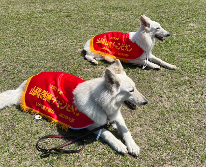 image02