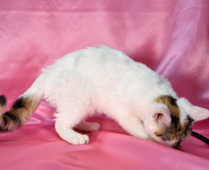 image02
