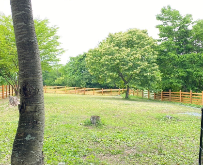 image05