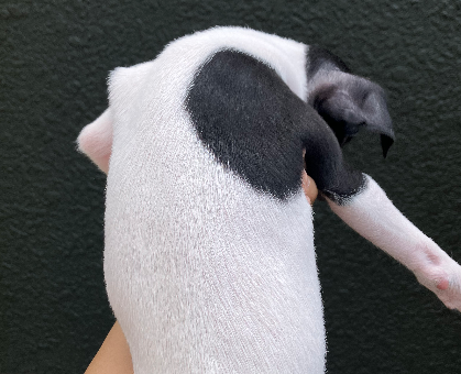 image03